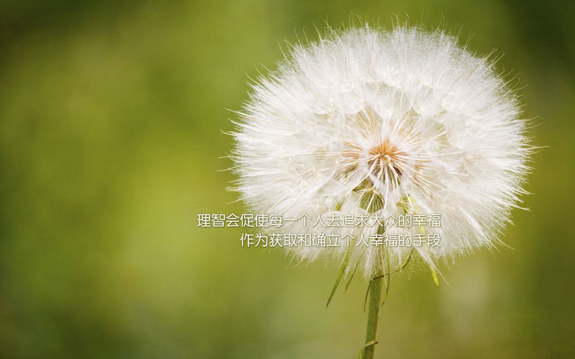 冰与火之歌,拉什福德点燃战火,冰岛狂胜背后的关键先生